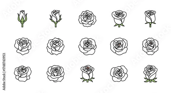 Fototapeta Collection of stylized rose illustrations showcasing different stages of bloom, from tight buds to fully opened flowers, presented on a black background with a subtle glitter effect, perfect for