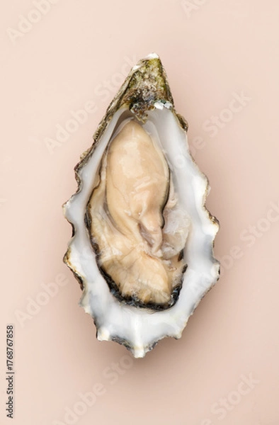 Fototapeta One oyster on beige background, macro shot of open fresh french Fine de Claire oyster. Gourmet food. Seafood. Macro shot, vertical image. Top view, from above. 