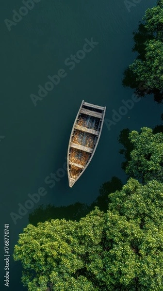 Obraz Aerial view shows a wooden boat floating on dark water, framed by lush green trees