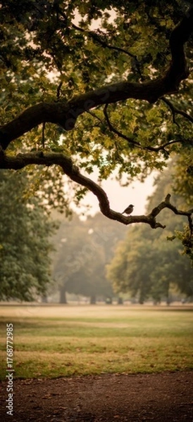 Obraz A peaceful park scene framed by a tree branch, a lone bird perched, and soft sunlight filters through