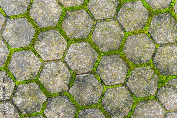 Fototapeta Old hexagonal stone pavement with green moss growing between cracks, creating natural geometric texture. Concept of nature reclaiming, urban decay beauty, natural vintage background