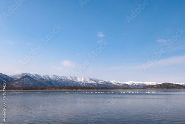 Obraz 白鳥が羽を休める冬晴れの屈斜路湖と山並み