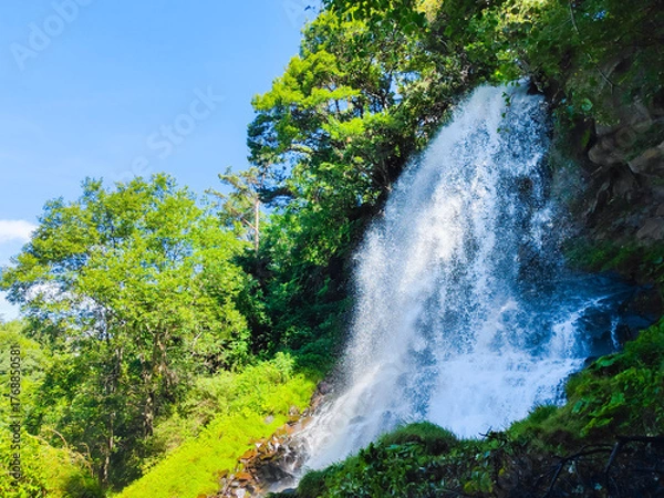 Fototapeta 乙女滝　夏