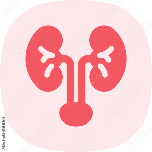 Fototapeta Kidney