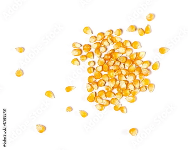 Fototapeta Yellow grain corn isolated on white background, for popcorn, top view