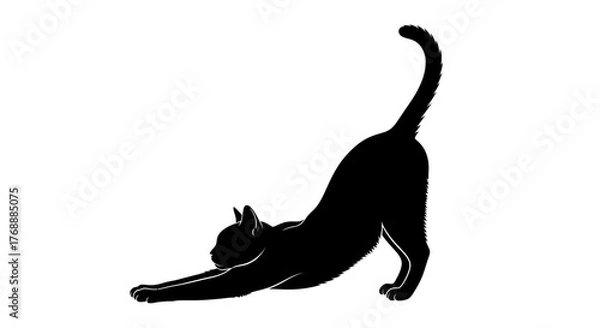 Fototapeta A sleek black cat stretches its body in a smooth arc, showcasing its flexibility and grace.