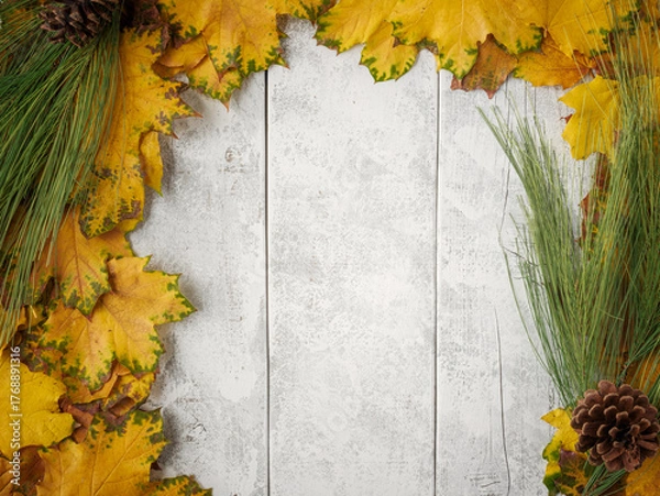 Obraz Gold yellow fall maple leaves and evergreen pine spruce branch needles greenery on white rustic wood plank table. Autumn seasonal overhead flatlay