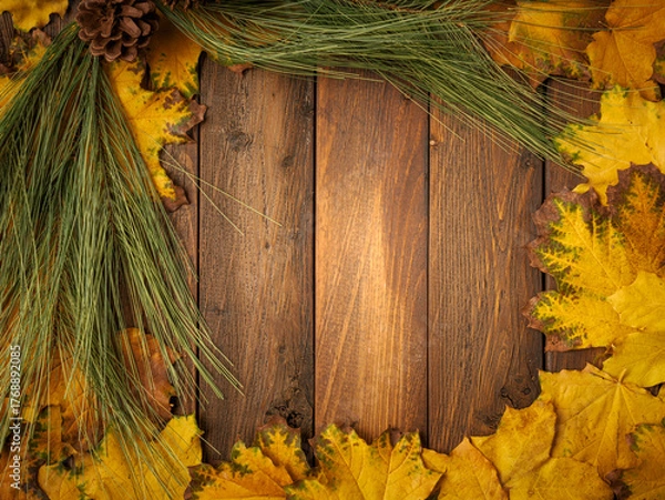 Obraz Gold yellow fall maple leaves and evergreen pine spruce branch needles greenery on brown rustic wood plank table. Autumn seasonal overhead flatlay