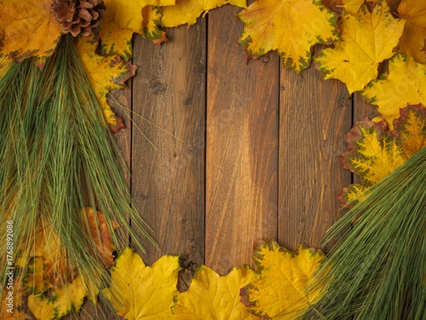 Obraz Gold yellow fall maple leaves and evergreen pine spruce branch needles greenery on brown rustic wood plank table. Autumn seasonal overhead flatlay