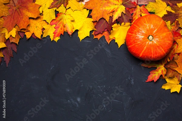 Fototapeta border frame of colorful autumn leaves on black background with pumpkin copy space