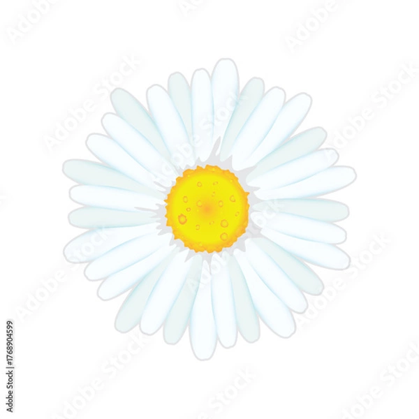 Fototapeta Make a Professional Beautiful Flower Vector