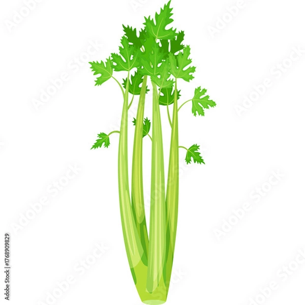 Fototapeta Green Celery Stalks With Leaves Isolated On White Background Detailed Pixel Art Illustration