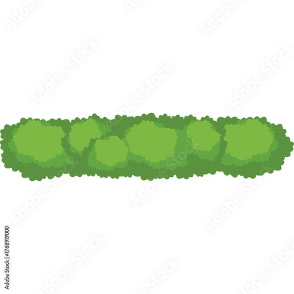 Fototapeta Green Hedges 131-01 Isolated On Transparent Background For Garden Landscape Design Elements