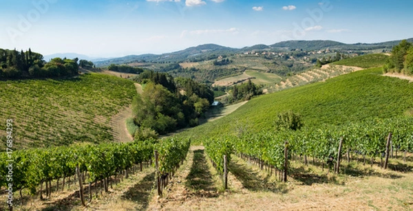 Obraz Tuscany vineyards