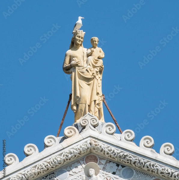 Obraz Seagull on statue