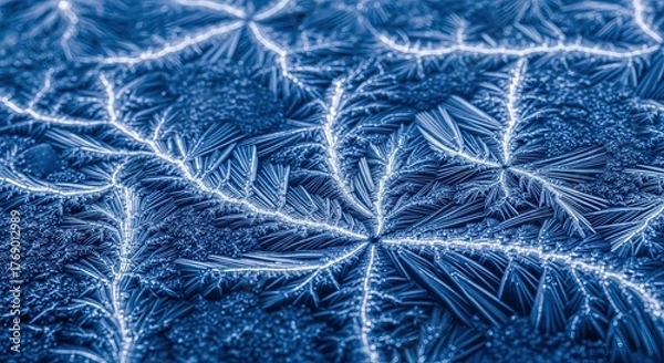 Fototapeta Intricate frosty patterns form delicate ice crystals on a cold surface, creating a mesmerizing natural design.