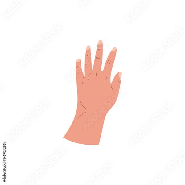 Fototapeta hand gesture 