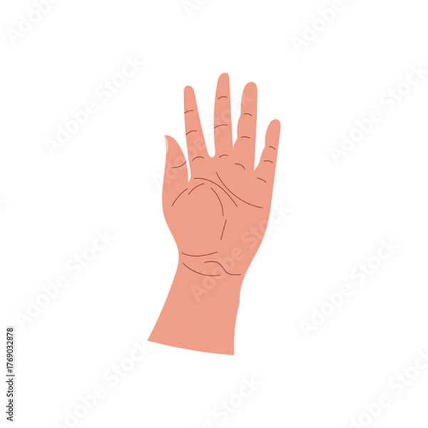 Fototapeta Hand gesture