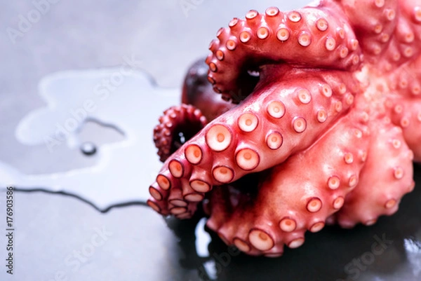 Fototapeta Boiled octopus on metal background with copy space