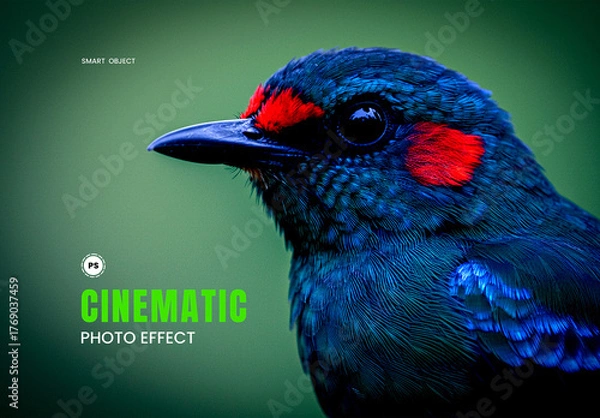 Obraz Cinematic Photo Effect