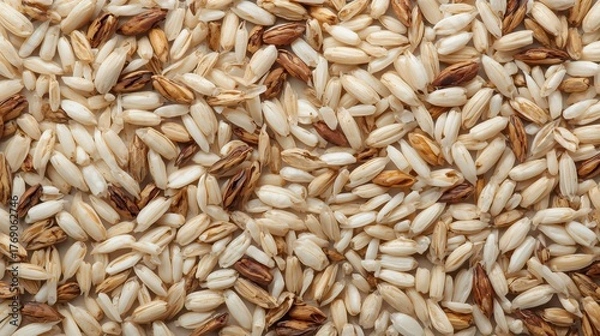 Obraz wheat grains background