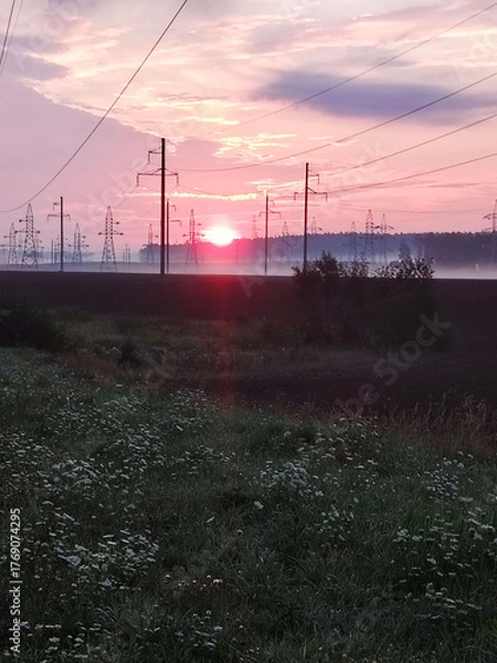 Fototapeta Sunrise over field with power lines.