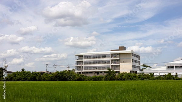 Fototapeta Perspective view of a hospital building through a green rice field.