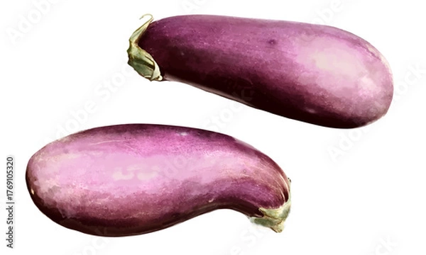 Fototapeta 水彩で描いた茄子の素材セット