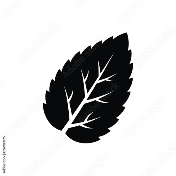 Obraz Black silhouette of a serrated leaf with veins plant