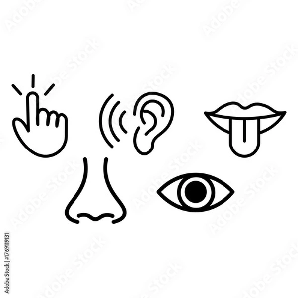 Fototapeta Minimalist Line Art Icons Representing the Five Human Senses