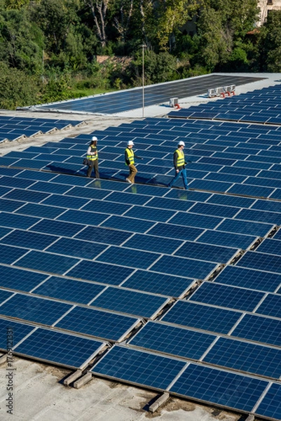 Fototapeta Engineers walking on solar panels producing clean energy