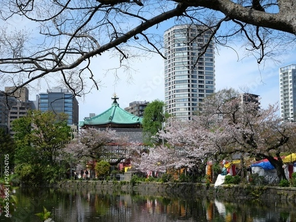 Obraz 春の上野公園