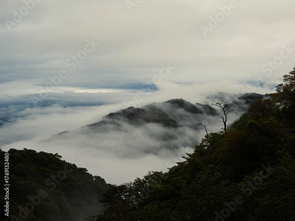 Fototapeta 雲海に覆われた六甲の山並みと神戸市街地