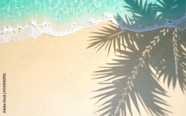 Fototapeta Top view of tropical leaf shadow on water surface. Shadow of palm leaves on white sand beach. Beautiful abstract background concept banner for summer vacation at the beach,goldern hours golden sand