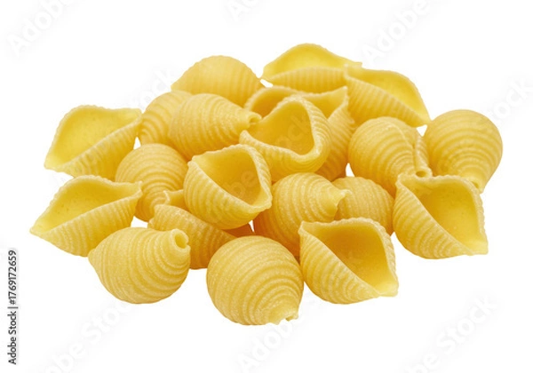 Obraz Isolated bunch of seashell pasta, uncooked pasta shells ready to be prepared for cooking