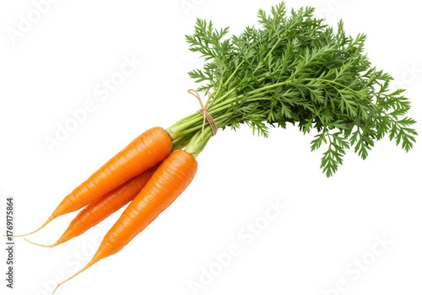 Obraz Isolated bunch of fresh organic carrots with green tops, nutrient-rich healthy vegetable