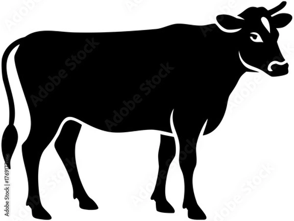 Obraz Cow - High Quality Vector Logo - Vector illustration ideal for T-shirt graphic