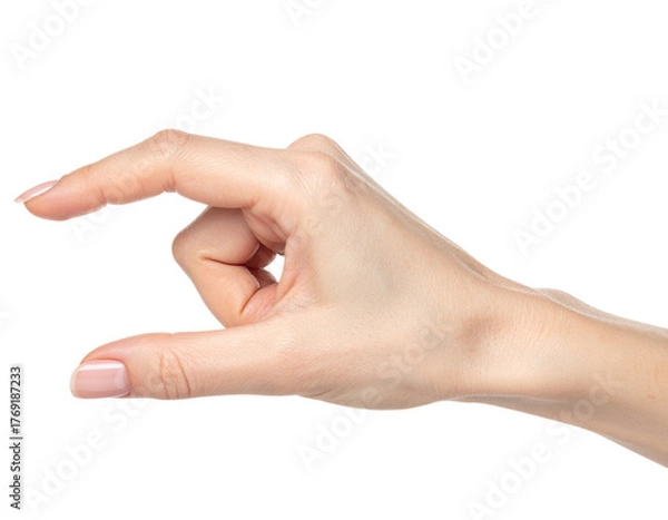 Fototapeta Studio photograph of a woman's hand holding or grasping something small with thumb and index finger, isolated