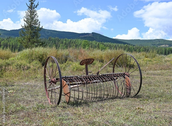 Fototapeta Old farm hay mower in a field