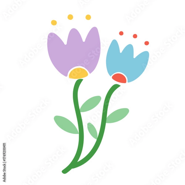 Fototapeta Two Tulip Flowers