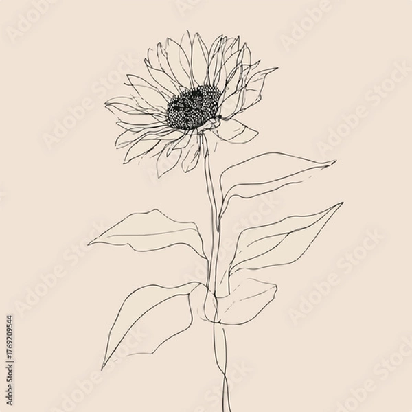 Fototapeta Elegant single line sunflower with abstract leaves