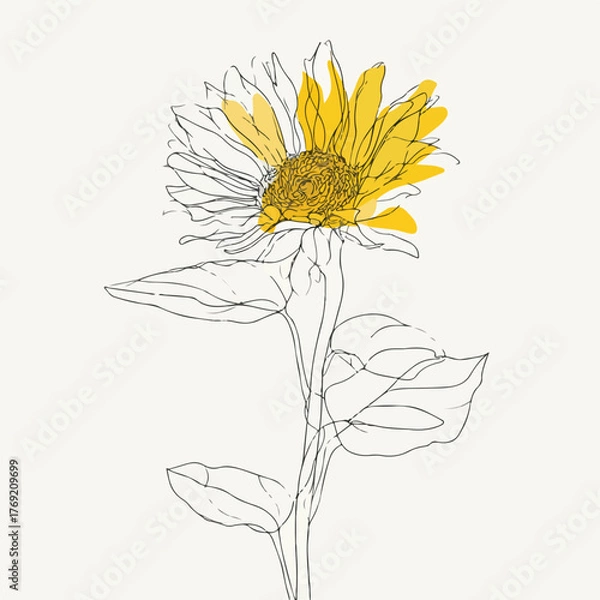 Fototapeta Elegant sunflower with continuous line art