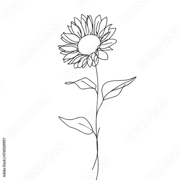 Fototapeta Elegant single-line sunflower with flowing leaves