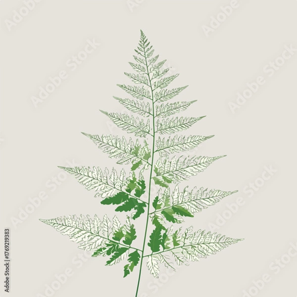 Fototapeta Elegant Fern Outline in Flat Vector Style