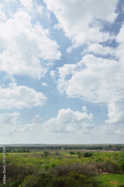 Obraz Palmetto State Park