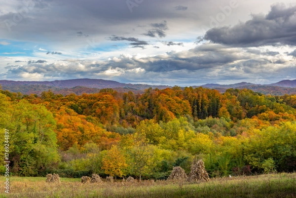 Obraz Colorful autumn mountain scenery with forests and fields in bright fall tones