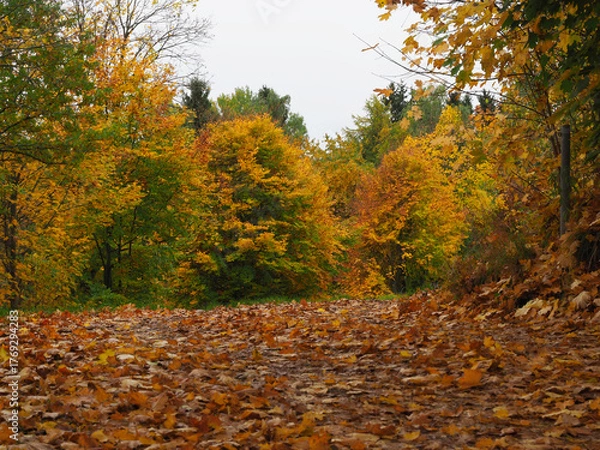 Obraz Herbststimmung