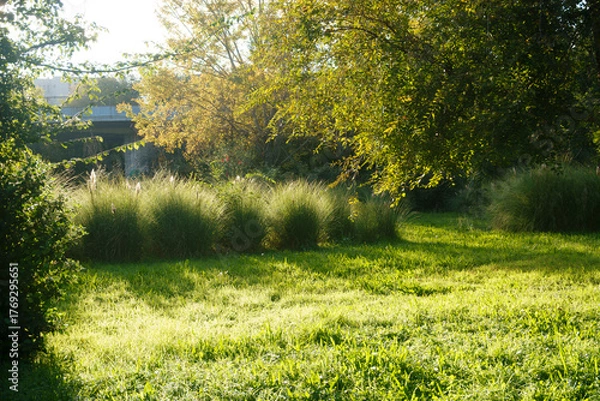 Obraz vegetazione verde 