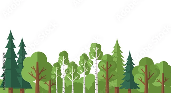Fototapeta Stylized vector graphic illustration of a green forest with varied tree species flat design