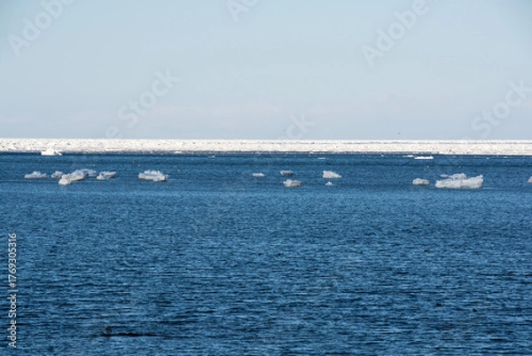 Fototapeta 流氷が浮かぶ北国の海
